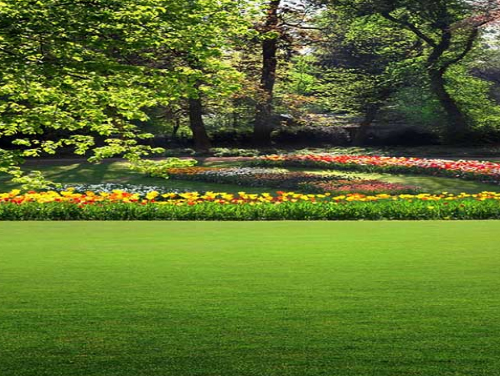 ��԰��Ŀ�����ƺ